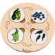  Монтесори играчки - Цикъл на живота на животните и растенията - Монтесори пъзел жизнен цъкл 9  - MundaMundi 