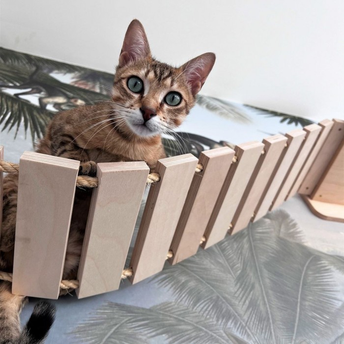  Мебели за домашни любимци - Катерушка за котки мост. - MundaMundi 