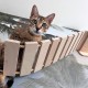  Мебели за домашни любимци - Катерушка за котки мост. 1  - MundaMundi 