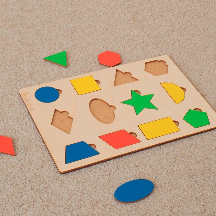 Educational Geometric Montessori puzzle