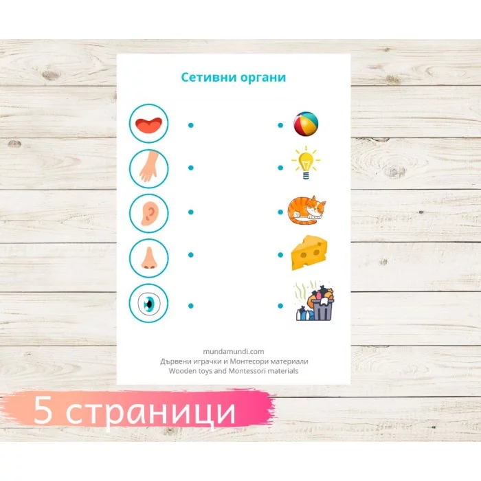 Сетивни органи